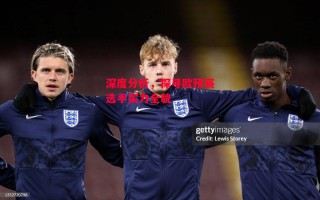 德信app-深度分析，探寻欧预赛选手实力全貌