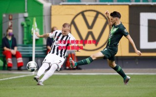 德信app下载-沃尔夫斯堡遭遇连败，亟待重振雄风