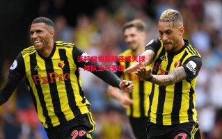 德信体育-沃特福德后防连续失球，球队士气受挫