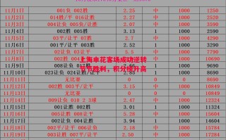 德信体育-上海申花客场成功逆转节节胜利，积分榜升高
