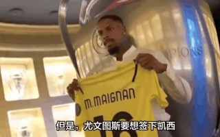 佛罗西诺后卫再遭伤病困扰，球队实力有限