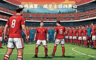 威尔士国家队展现出色，晋级前景一片光明