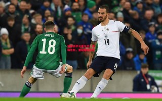 德信app下载-波黑战平北爱尔兰！客场告和，晋级曙光尚存