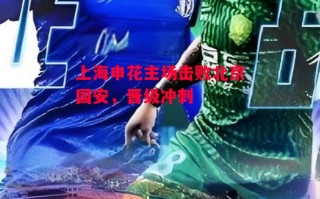 德信官网下载-上海申花主场击败北京国安，晋级冲刺