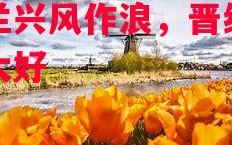 德信体育-荷兰兴风作浪，晋级前景大好