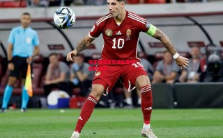 德信app下载-匈牙利国家足球队意外击败对手