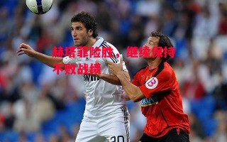 德信官网下载-赫塔菲险胜，继续保持不败战绩