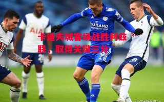 德信app-卡迪夫城客场战胜利兹联，取得关键三分