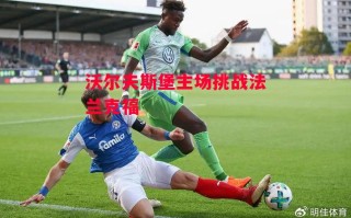 德信app-沃尔夫斯堡主场挑战法兰克福