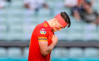 德信app下载-鲁能队身手矫健，力主逆袭射门攻击