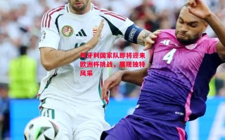 德信体育app下载-匈牙利国家队即将迎来欧洲杯挑战，展现独特风采