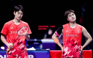 德信官网下载-丹麦持续连胜，小组榜首稳步晋级