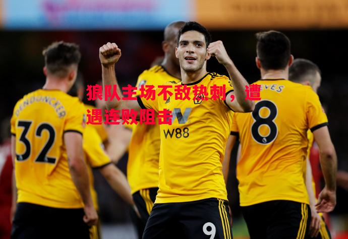 德信体育-狼队主场不敌热刺,遭遇连败阻击-第2张图片-德信体育 德信体育-狼队主场不敌热刺,遭遇连败阻击-第2张图片-德信体育