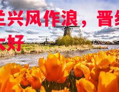 德信体育-荷兰兴风作浪,晋级前景大好-第1张图片-德信体育 德信体育-荷兰兴风作浪,晋级前景大好-第1张图片-德信体育