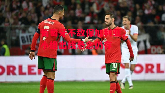 德信体育-葡萄牙不敌保加利亚,小组出线悬念仍存-第1张图片-德信体育 德信体育-葡萄牙不敌保加利亚,小组出线悬念仍存-第1张图片-德信体育