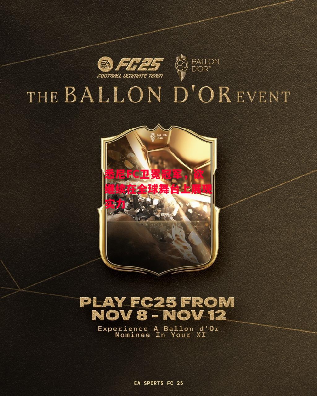 德信体育-悉尼FC卫冕冠军,欲继续在全球舞台上展现实力-第2张图片-德信体育 德信体育-悉尼FC卫冕冠军,欲继续在全球舞台上展现实力-第2张图片-德信体育