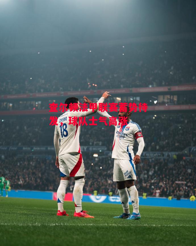 德信体育-查尔顿法甲联赛蓄势待发,球队士气高涨-第2张图片-德信体育 德信体育-查尔顿法甲联赛蓄势待发,球队士气高涨-第2张图片-德信体育