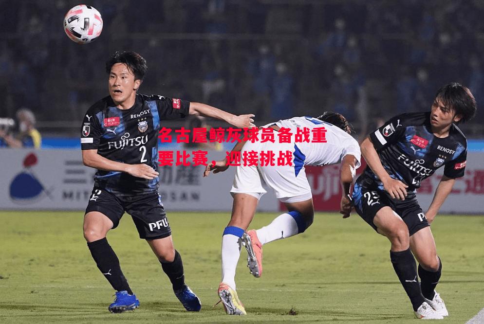 德信app-名古屋鲸灰球员备战重要比赛,迎接挑战-第1张图片-德信体育 德信app-名古屋鲸灰球员备战重要比赛,迎接挑战-第1张图片-德信体育