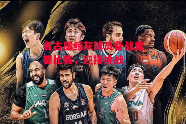 德信app-名古屋鲸灰球员备战重要比赛,迎接挑战-第2张图片-德信体育 德信app-名古屋鲸灰球员备战重要比赛,迎接挑战-第2张图片-德信体育