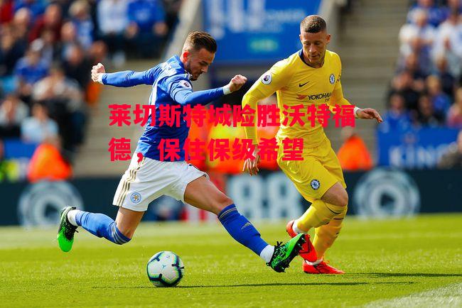 德信体育-莱切斯特城险胜沃特福德,保住保级希望-第2张图片-德信体育 德信体育-莱切斯特城险胜沃特福德,保住保级希望-第2张图片-德信体育