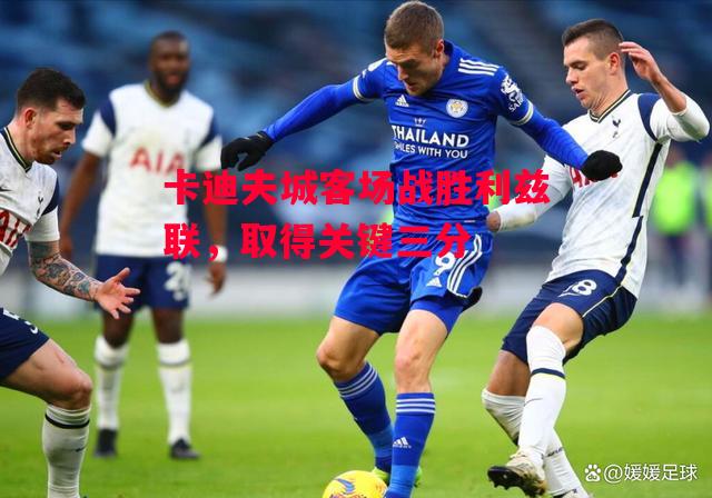 德信app-卡迪夫城客场战胜利兹联,取得关键三分-第1张图片-德信体育 德信app-卡迪夫城客场战胜利兹联,取得关键三分-第1张图片-德信体育