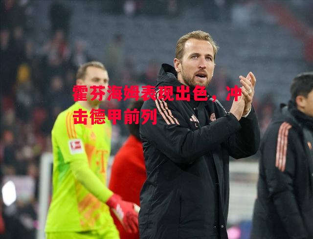 德信体育-霍芬海姆表现出色,冲击德甲前列-第1张图片-德信体育 德信体育-霍芬海姆表现出色,冲击德甲前列-第1张图片-德信体育