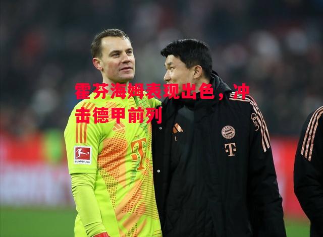 德信体育-霍芬海姆表现出色,冲击德甲前列-第2张图片-德信体育 德信体育-霍芬海姆表现出色,冲击德甲前列-第2张图片-德信体育