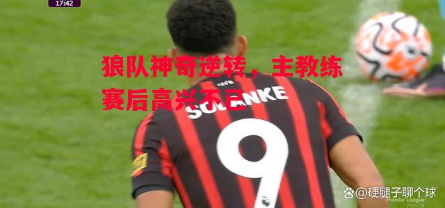 德信app-狼队神奇逆转,主教练赛后高兴不已-第1张图片-德信体育 德信app-狼队神奇逆转,主教练赛后高兴不已-第1张图片-德信体育