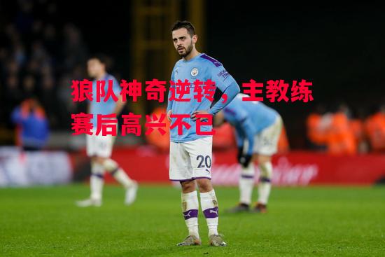 德信app-狼队神奇逆转,主教练赛后高兴不已-第2张图片-德信体育 德信app-狼队神奇逆转,主教练赛后高兴不已-第2张图片-德信体育