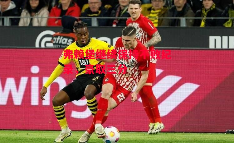 德信体育-弗赖堡继续保持不败纪录,豪取三分-第1张图片-德信体育 德信体育-弗赖堡继续保持不败纪录,豪取三分-第1张图片-德信体育