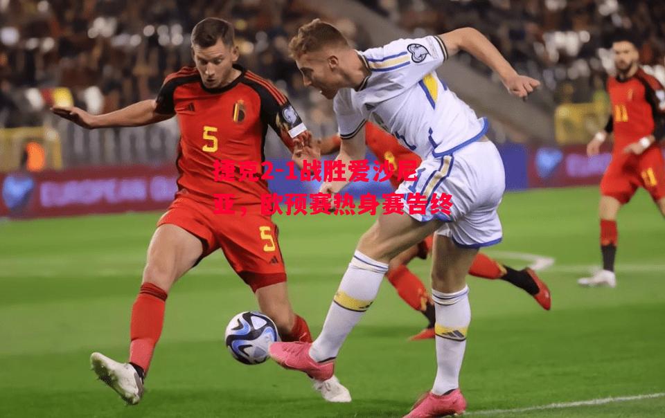 德信官网下载-捷克2-1战胜爱沙尼亚,欧预赛热身赛告终-第1张图片-德信体育 德信官网下载-捷克2-1战胜爱沙尼亚,欧预赛热身赛告终-第1张图片-德信体育