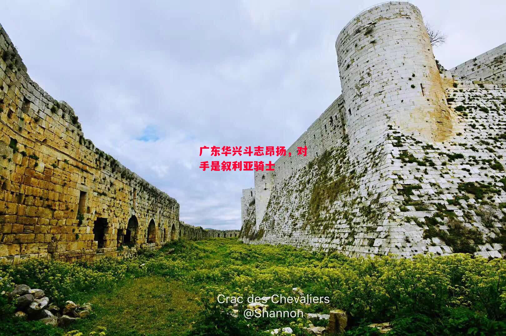 德信官网下载-广东华兴斗志昂扬,对手是叙利亚骑士-第1张图片-德信体育 德信官网下载-广东华兴斗志昂扬,对手是叙利亚骑士-第1张图片-德信体育