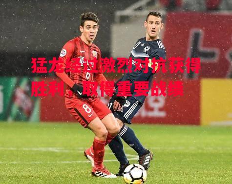 德信app-猛龙经过激烈对抗获得胜利,取得重要战绩-第2张图片-德信体育 德信app-猛龙经过激烈对抗获得胜利,取得重要战绩-第2张图片-德信体育