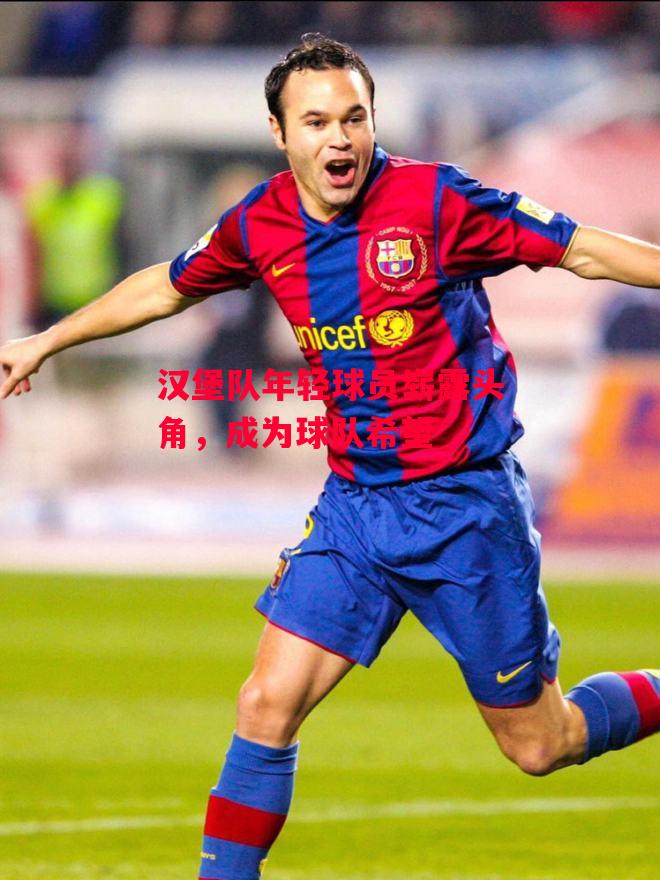 德信app-汉堡队年轻球员崭露头角,成为球队希望-第1张图片-德信体育 德信app-汉堡队年轻球员崭露头角,成为球队希望-第1张图片-德信体育