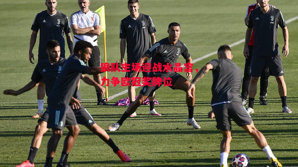 德信体育-狼队主场迎战水晶宫,力争欧冠奖牌位-第2张图片-德信体育 德信体育-狼队主场迎战水晶宫,力争欧冠奖牌位-第2张图片-德信体育