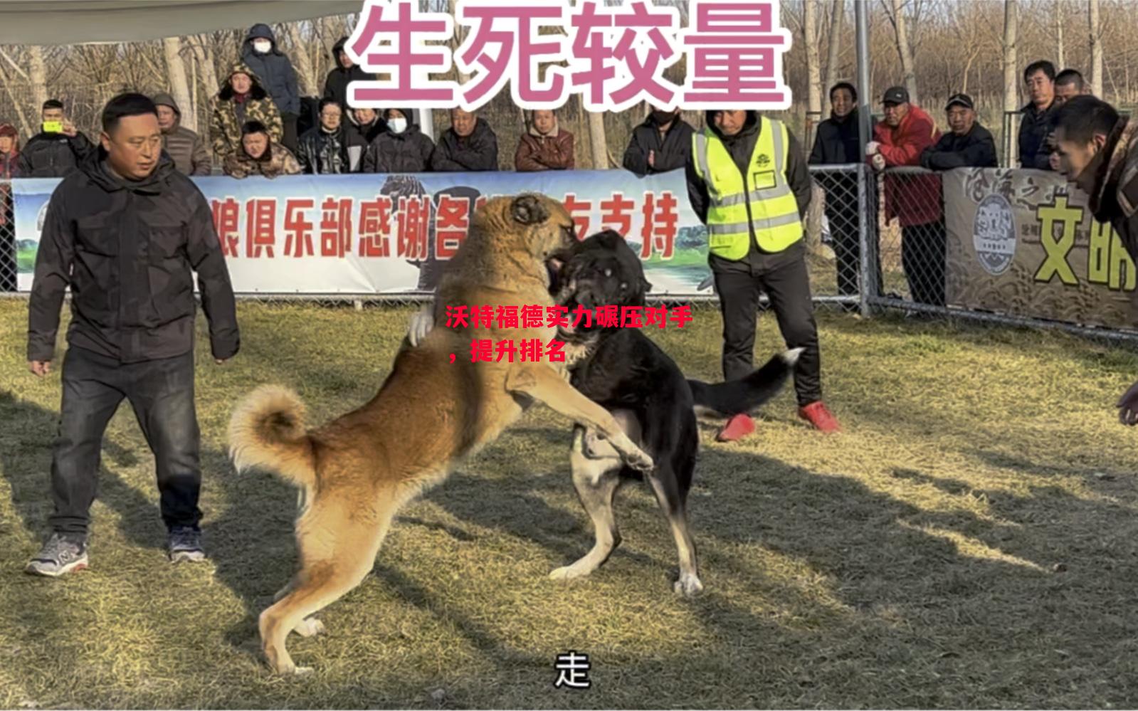 德信体育-沃特福德实力碾压对手,提升排名-第1张图片-德信体育 德信体育-沃特福德实力碾压对手,提升排名-第1张图片-德信体育