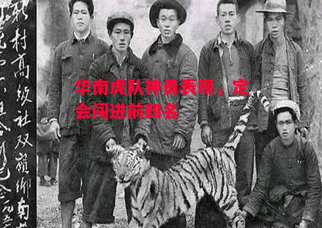 德信体育-华南虎队神勇表现,定会闯进前四名-第1张图片-德信体育 德信体育-华南虎队神勇表现,定会闯进前四名-第1张图片-德信体育