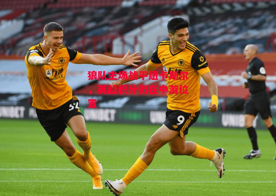 德信app下载-狼队主场战平纽卡斯尔,英超积分仍在中游位置-第2张图片-德信体育 德信app下载-狼队主场战平纽卡斯尔,英超积分仍在中游位置-第2张图片-德信体育