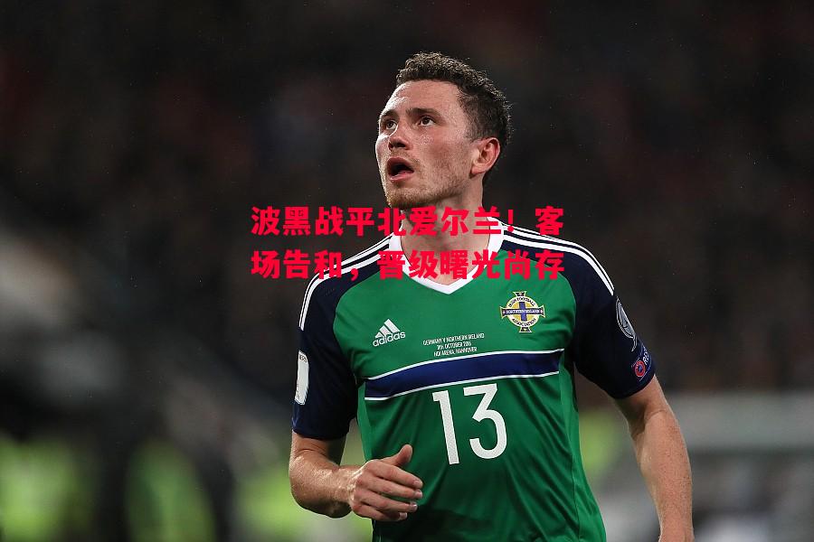 德信app下载-波黑战平北爱尔兰!客场告和,晋级曙光尚存-第2张图片-德信体育 德信app下载-波黑战平北爱尔兰!客场告和,晋级曙光尚存-第2张图片-德信体育