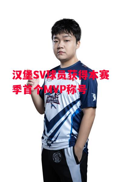 德信体育-汉堡SV球员获得本赛季首个MVP称号-第1张图片-德信体育 德信体育-汉堡SV球员获得本赛季首个MVP称号-第1张图片-德信体育