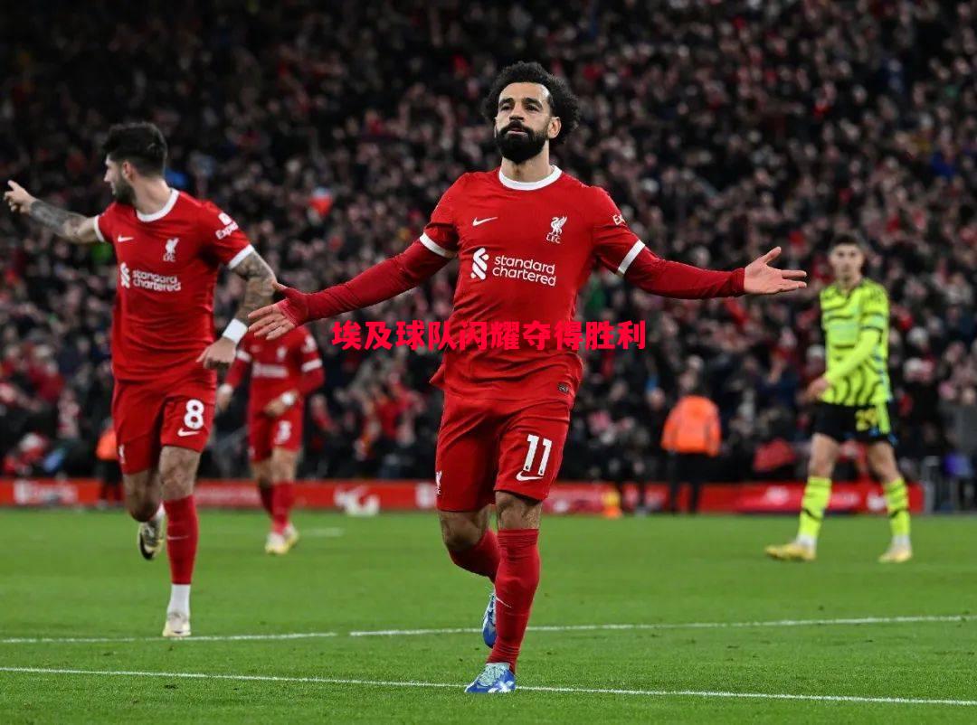 德信app下载-埃及球队闪耀夺得胜利-第1张图片-德信体育 德信app下载-埃及球队闪耀夺得胜利-第1张图片-德信体育