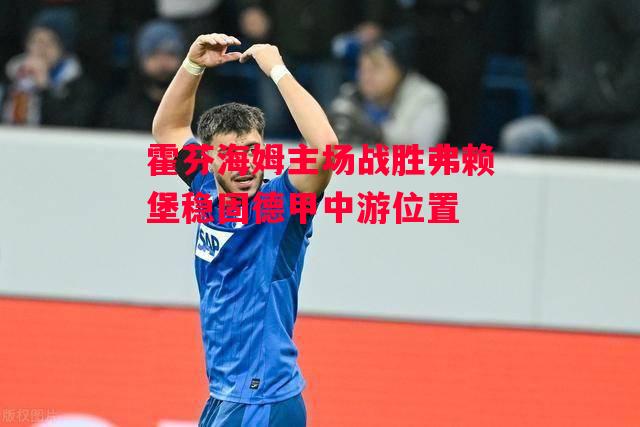 德信app下载-霍芬海姆主场战胜弗赖堡稳固德甲中游位置-第1张图片-德信体育 德信app下载-霍芬海姆主场战胜弗赖堡稳固德甲中游位置-第1张图片-德信体育