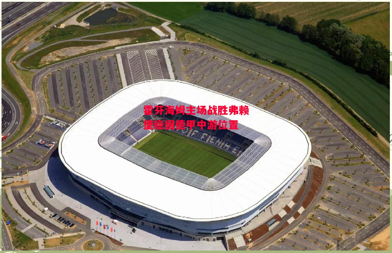 德信app下载-霍芬海姆主场战胜弗赖堡稳固德甲中游位置-第2张图片-德信体育 德信app下载-霍芬海姆主场战胜弗赖堡稳固德甲中游位置-第2张图片-德信体育