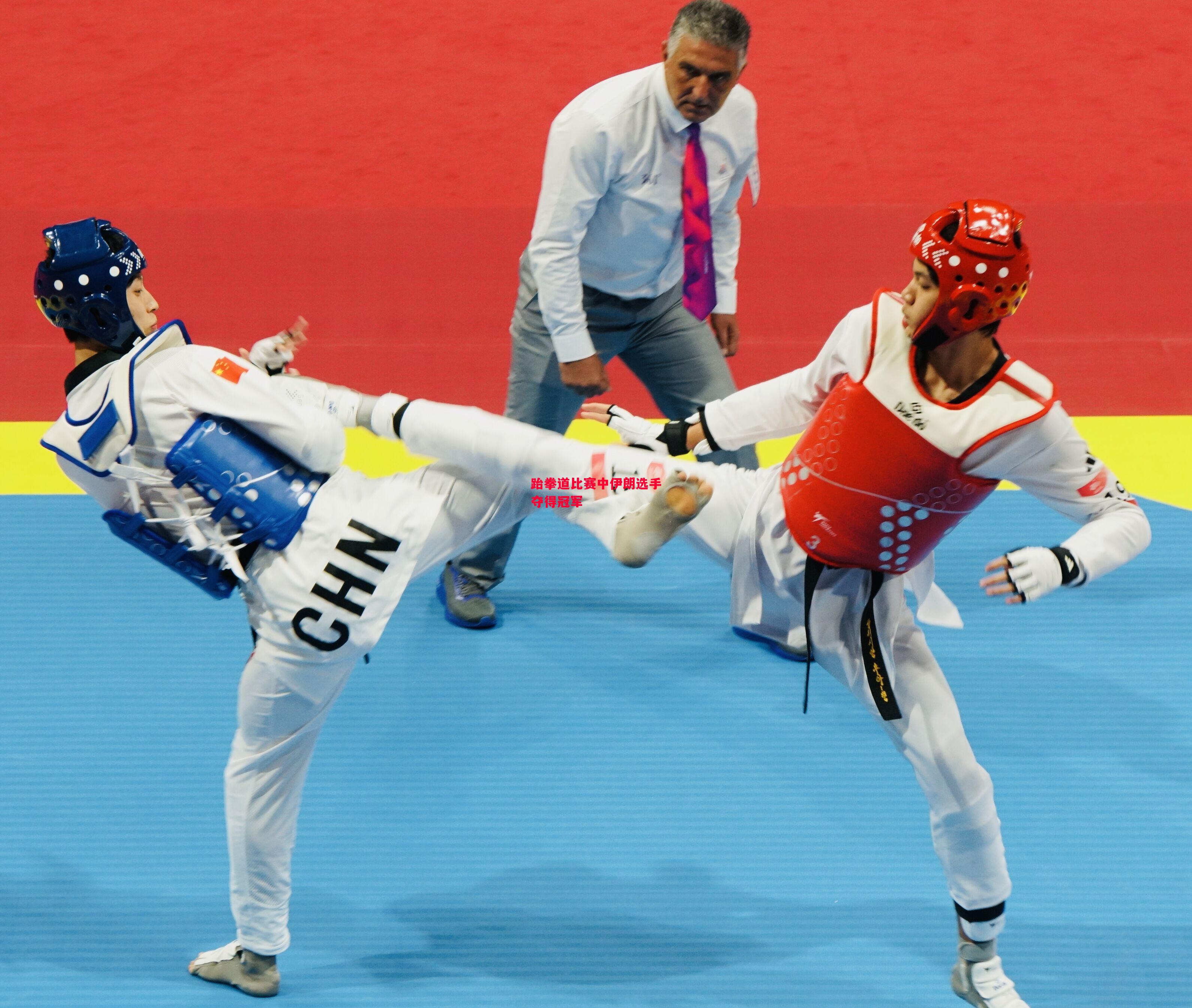 德信体育app下载-跆拳道比赛中伊朗选手夺得冠军-第1张图片-德信体育 德信体育app下载-跆拳道比赛中伊朗选手夺得冠军-第1张图片-德信体育