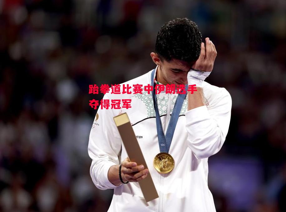 德信体育app下载-跆拳道比赛中伊朗选手夺得冠军-第2张图片-德信体育 德信体育app下载-跆拳道比赛中伊朗选手夺得冠军-第2张图片-德信体育