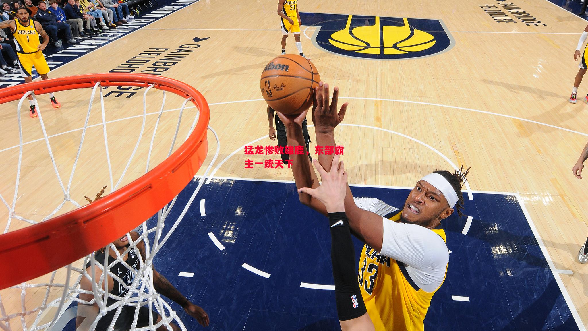 德信体育-猛龙惨败雄鹿,东部霸主一统天下-第2张图片-德信体育 德信体育-猛龙惨败雄鹿,东部霸主一统天下-第2张图片-德信体育