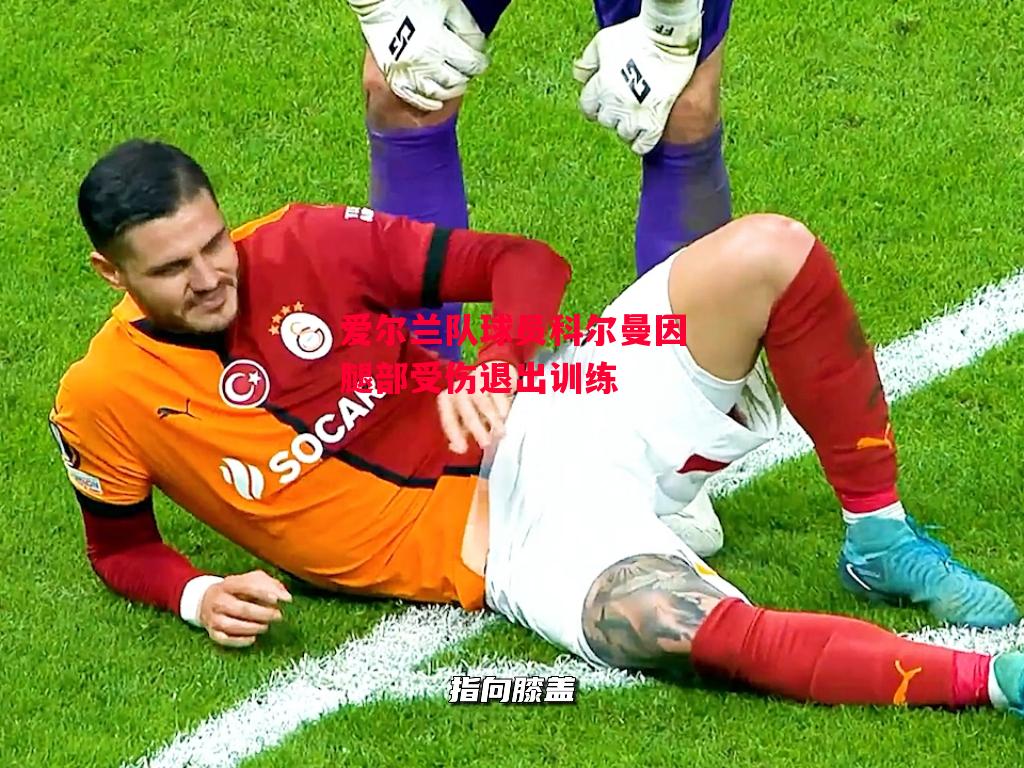 德信体育-爱尔兰队球员科尔曼因腿部受伤退出训练-第2张图片-德信体育 德信体育-爱尔兰队球员科尔曼因腿部受伤退出训练-第2张图片-德信体育