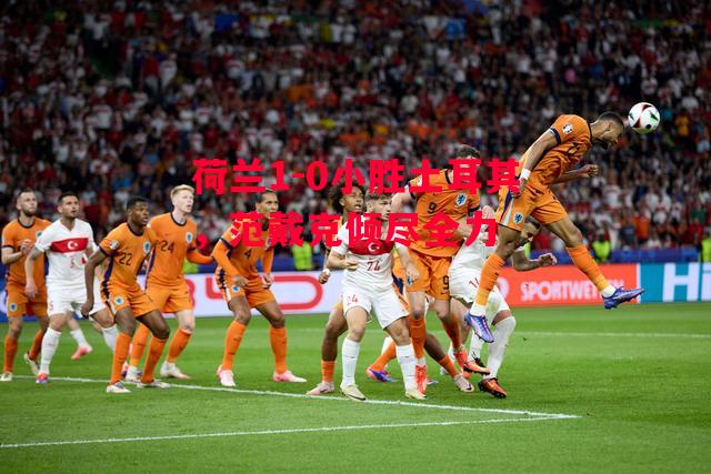 德信app-荷兰1-0小胜土耳其,范戴克倾尽全力-第2张图片-德信体育 德信app-荷兰1-0小胜土耳其,范戴克倾尽全力-第2张图片-德信体育