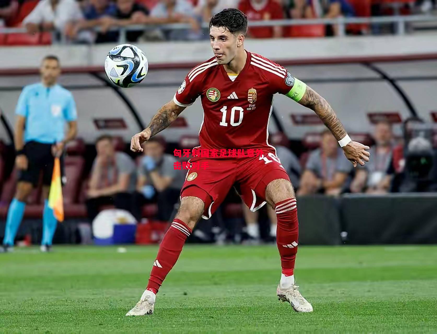 德信app下载-匈牙利国家足球队意外击败对手-第1张图片-德信体育 德信app下载-匈牙利国家足球队意外击败对手-第1张图片-德信体育