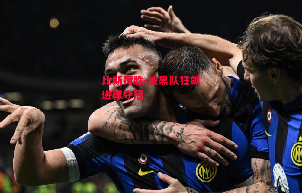德信体育-比斯荷胜-波黑队狂飙进球夺冠-第1张图片-德信体育 德信体育-比斯荷胜-波黑队狂飙进球夺冠-第1张图片-德信体育